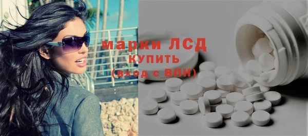 apvp Каменка