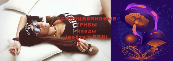 дживик Иннополис