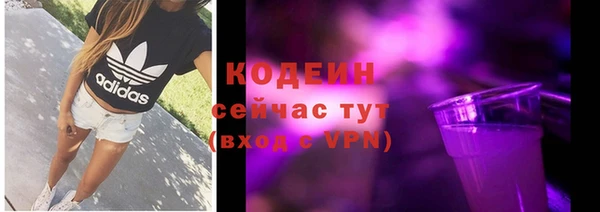 дживик Нестеровская