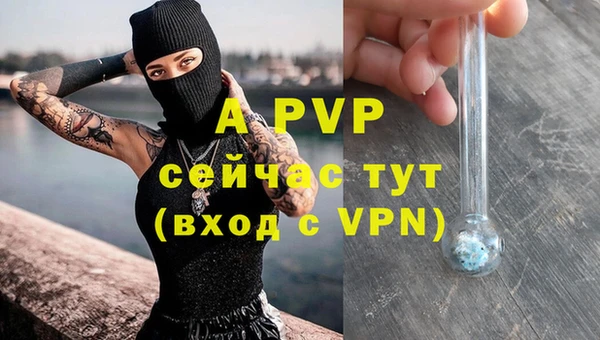 стафф Инта