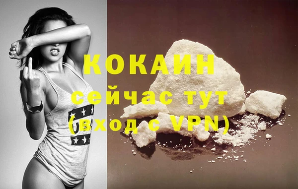 apvp Каменка