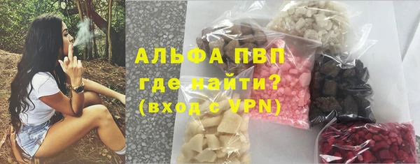 apvp Каменка