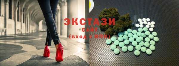 apvp Каменка