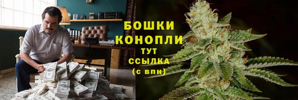 apvp Каменка