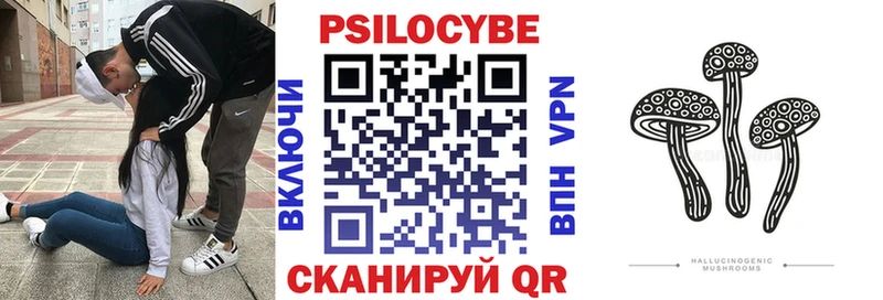 Галлюциногенные грибы Psilocybine cubensis  Купить  Макаров 